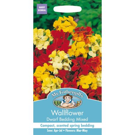 UK/FO-WALLFLOWER Dwarf Bedding Mixed - image 1