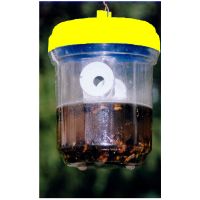 Wasp Trap Jasper Grasper - image 1