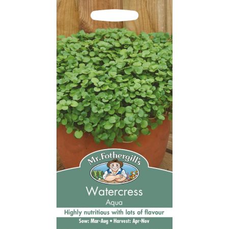 UK/FO-WATERCRESS Aqua - image 1