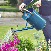 Watering Can 9L Blue - image 2