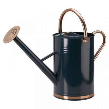 Watering Can 9L Blue - image 1