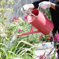 Watering Can Coral Pink 9L - image 2