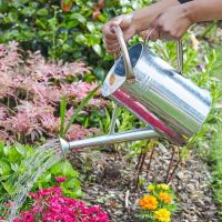 Watering Can Galvanised Steel 4.5L