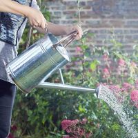 Watering Can Galvanised Steel 9L - image 2