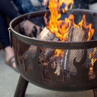 Wildfire Fire Pit - image 2