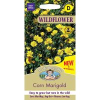 UK/FO-WF-Corn Marigold - image 1