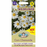 Wildflower Seed