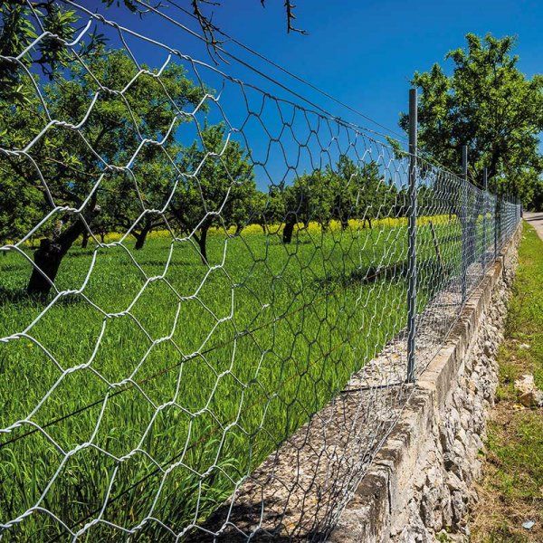 Wire Netting 50mm Mesh 1m x 5m Thirsk Garden Centre