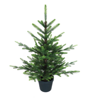 XMAS TREE 3ft POTTED NORDMAN