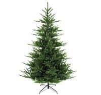 XMAS TREE 8ft NORDMAN