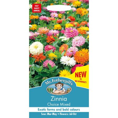 UK/FO-ZINNIA Choice Mixed - image 1