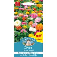 UK/FO-ZINNIA Choice Mixed - image 1