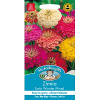 UK/FO-ZINNIA Early Wonder Mixed - image 1