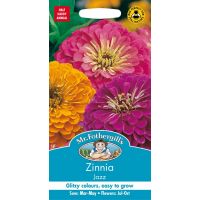 UK/FO-ZINNIA Jazz - image 1